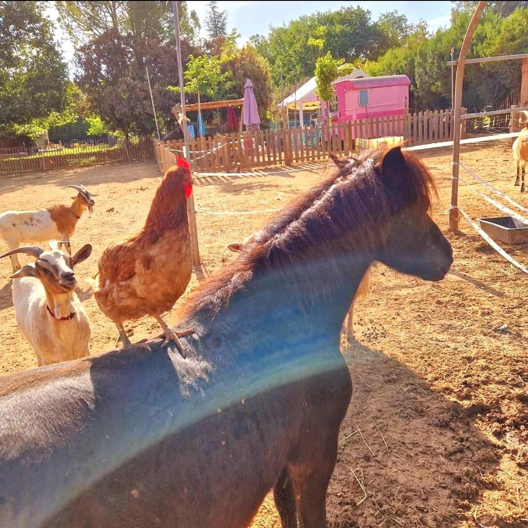 Villa Sejour A La Ferme Jouques Exterior foto